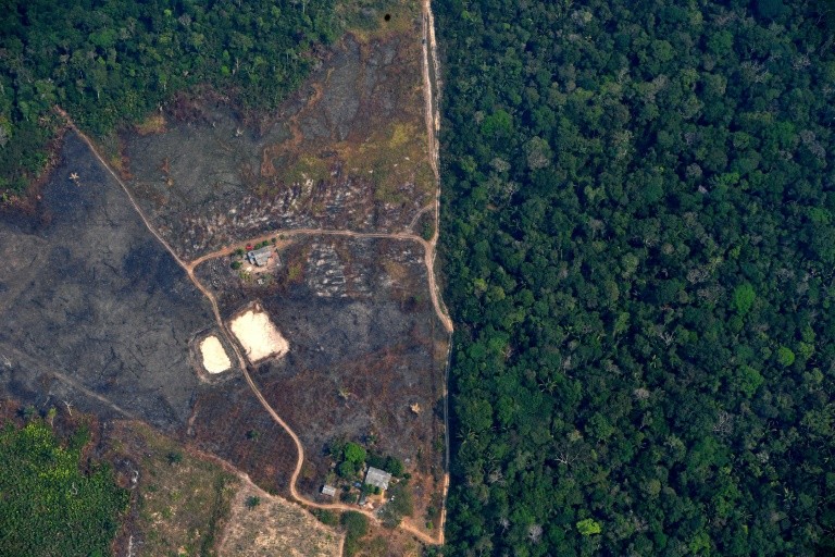 Greenpeace denuncia aumento de mineração ilegal na Amazônia ISTOÉ