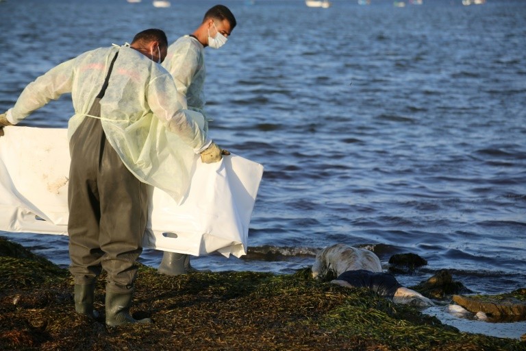 Ao menos 52 mortos em naufrágio de migrantes na Tunísia ISTOÉ