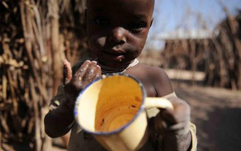 Brasil reduz a pobreza extrema em 75 aponta relatório da FAO ISTOÉ