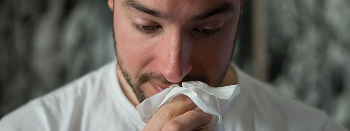 Gripe rouca