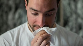 Gripe rouca