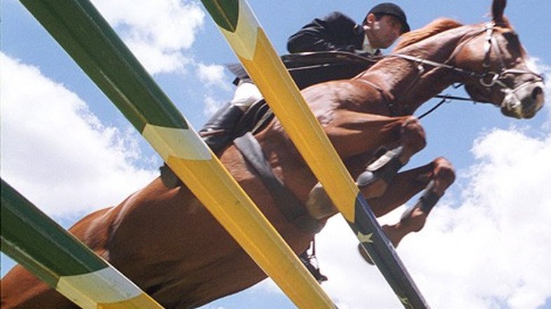 Prática do hipismo tem histórico de acidentes fatais; relembre casos