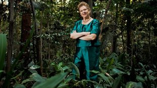 "É preciso educar para evitar mais mortes nas florestas"