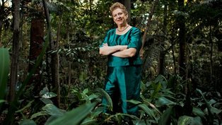 "É preciso educar para evitar mais mortes nas florestas"