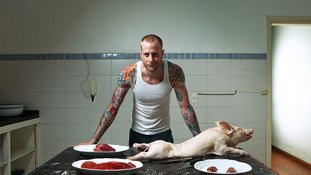 Dieta Animal