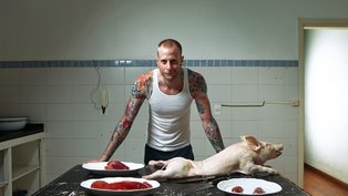 Dieta Animal