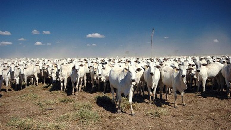 Vacinação contra Covid: Brasil é verdadeira piada pronta