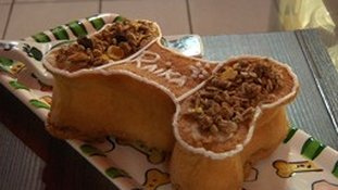Padaria para cachorro