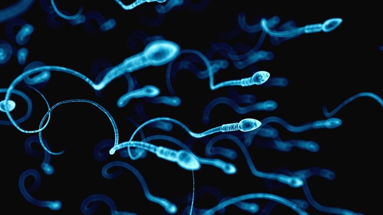 Contagem de espermatozoides pode não estar diminuindo como os cientistas pensavam, diz pesquisa