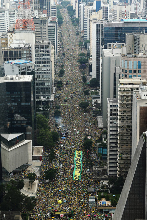 Avenida Paulista - Informações e História