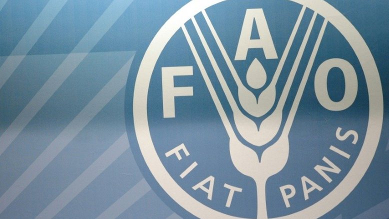 Efeito do El Niño na América Central preocupa FAO