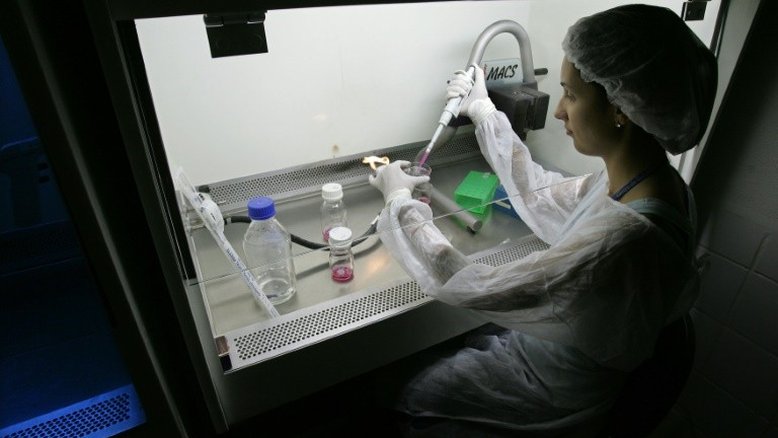 Fertilização in vitro não aumenta risco de câncer de mama