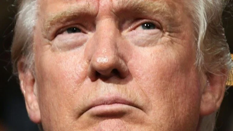 Trump diz que franceses serão submetidos a controles para entrar nos EUA