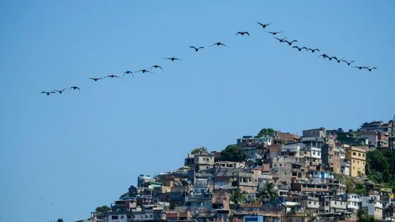 Cepal: Venezuela e Brasil prejudicam crescimento da América Latina