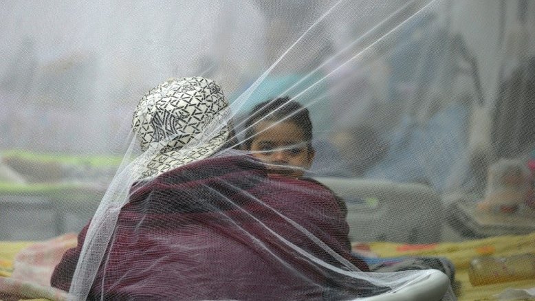 Alerta em Honduras por zika após oito casos de microcefalia em bebês