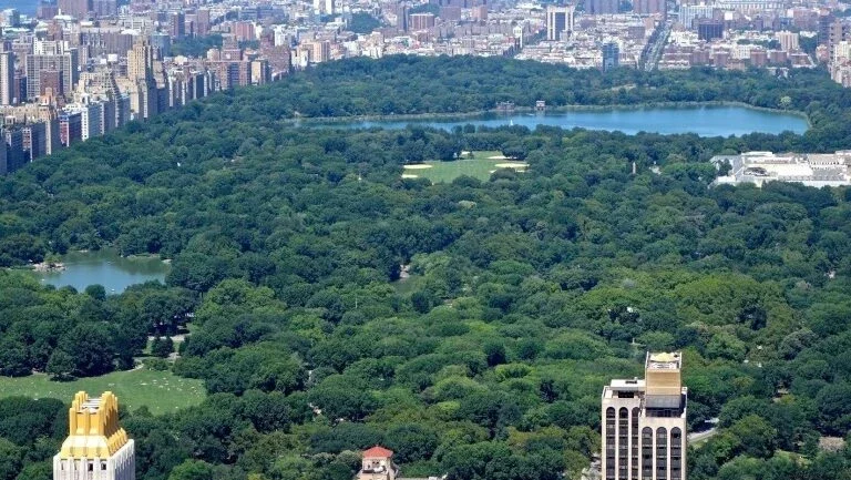 Acidente com ônibus no Central Park deixa treze feridos leves