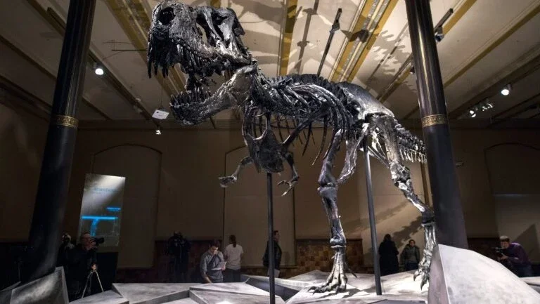 Pegada de dinossauro de 1,20 metro é encontrada na Bolívia