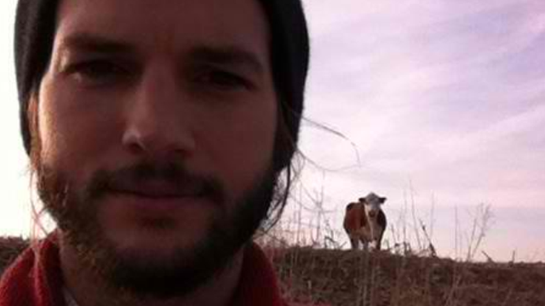Ashton Kutcher no campo