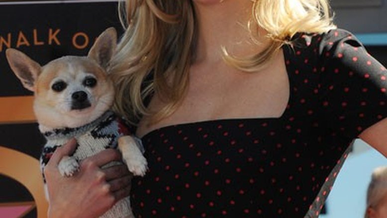 Reese Witherspoon na Calçada da Fama