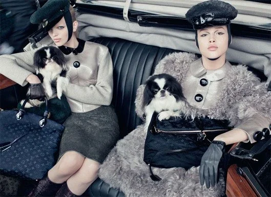 Os pets da Louis Vuitton