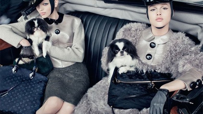 Os pets da Louis Vuitton