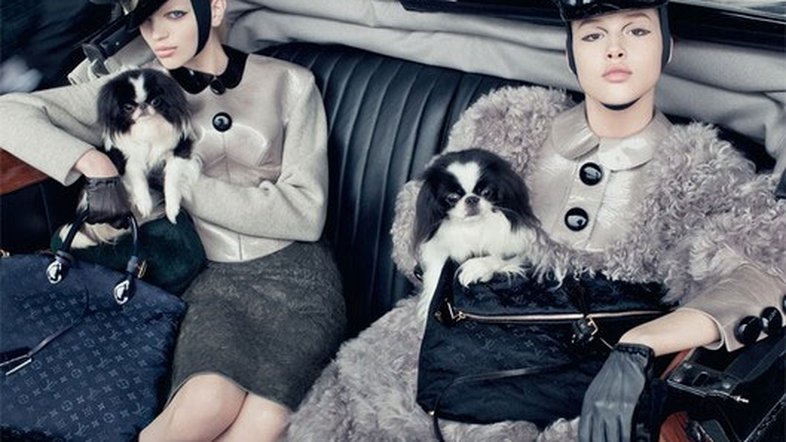 Os pets da Louis Vuitton