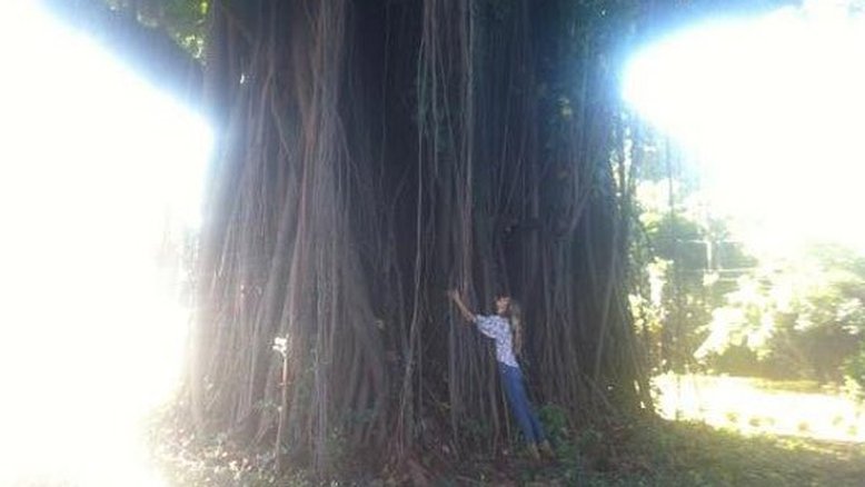 Gisele Bündchen e a natureza