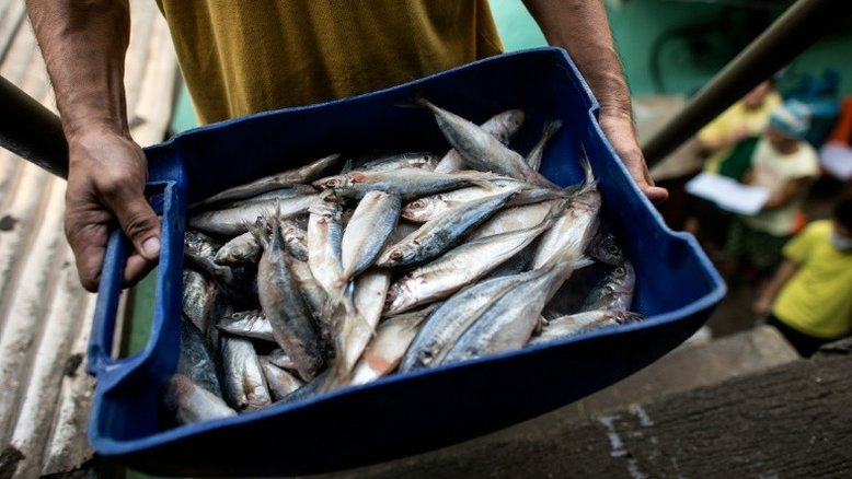 Proteínas magras reduzem risco de morte, confirma estudo dos EUA