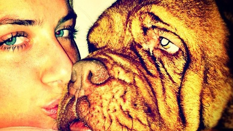 Os amores de Gagliasso