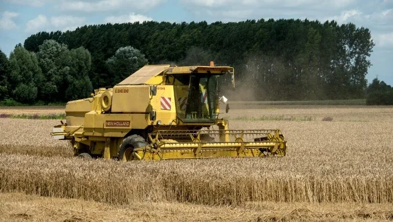 Caça e agricultura ameaçam a vida selvagem mais do que o clima