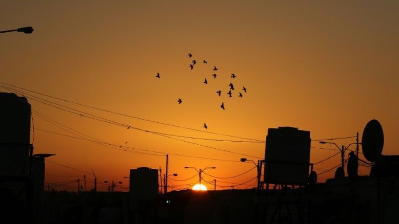 ONU fornece ajuda a 75.000 sírios na Jordânia