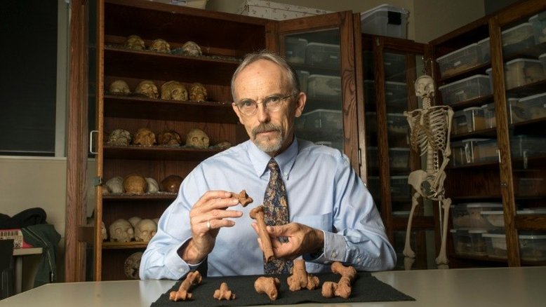 Lucy, a famosa australopithecus, provavelmente morreu ao cair de uma árvore