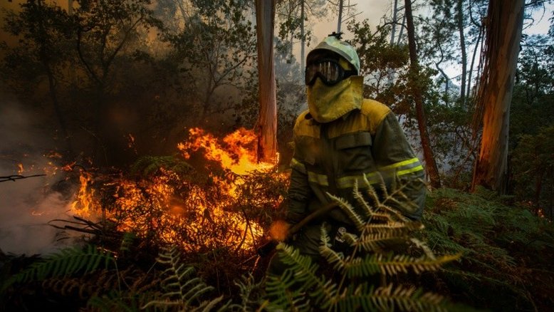 Incêndios de origem duvidosa queimam quase 6.000 hectares na Espanha