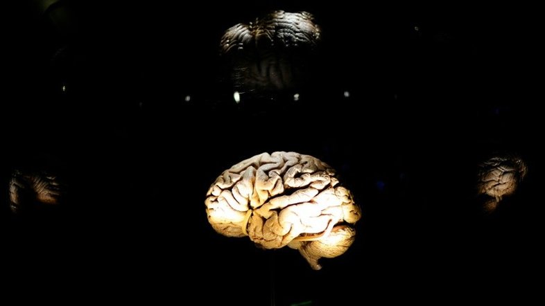 Lesões cerebrais causam danos a longo prazo