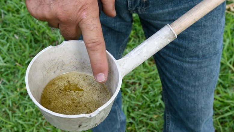 EUA testam em humanos segunda vacina contra zika