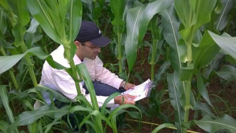 Plataforma internacional para agropecuaristas busca promover inovação e conhecimento
