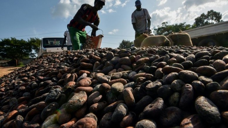 OIT: 20% do emprego na América Latina é rural