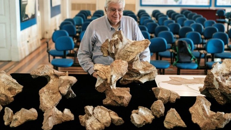 Guardado há 60 anos, maior dinossauro do Brasil é descoberto