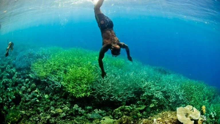 Oceanos da Melanésia 