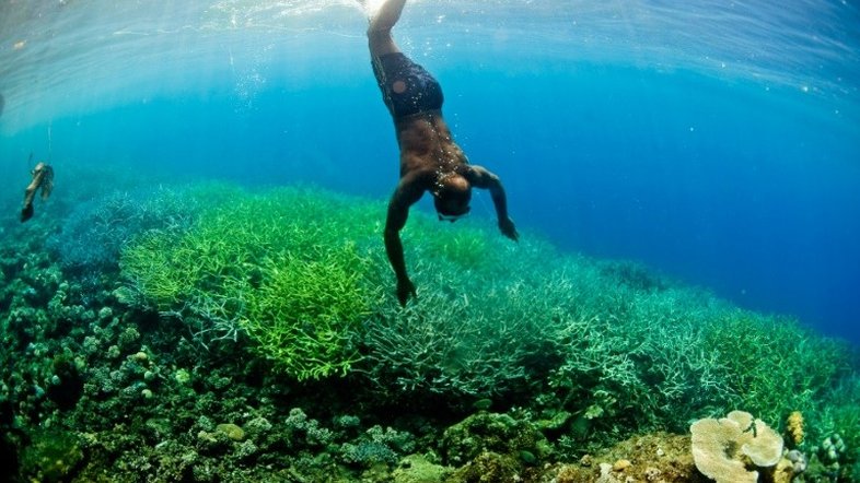 Oceanos da Melanésia 'valem' 548 bilhões de dólares (WWF)