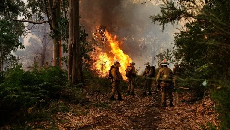Mudanças no clima dobraram área queimada em incêndios florestais nos EUA (estudo)