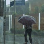 São Paulo registra 40 semáforos apagados e 107 árvores caídas após chuva