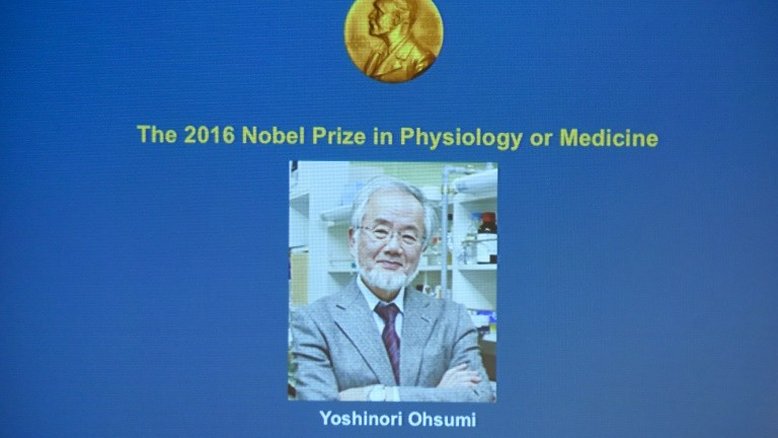 Vencedores do Nobel de Medicina nos últimos 10 anos
