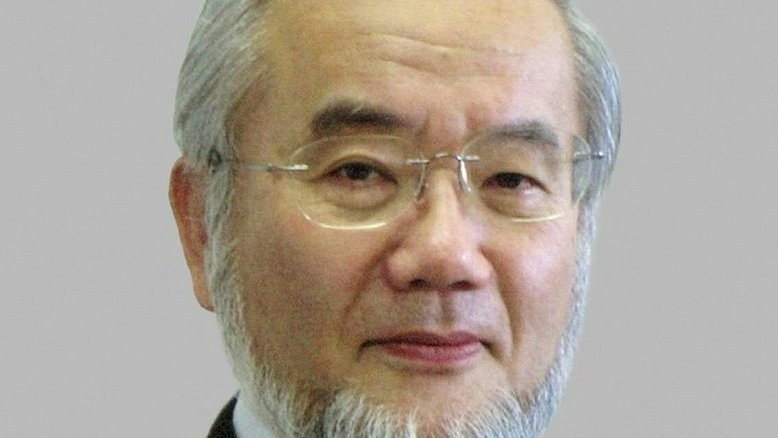 Japonês vence Nobel de Medicina por pesquisas sobre autofagia