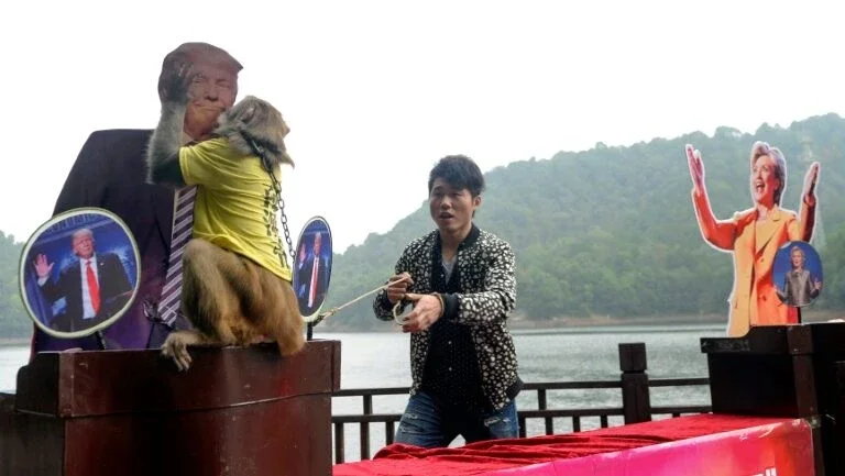 Macaco Geda prevê vitória de Trump