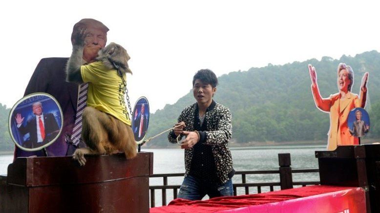 Macaco Geda prevê vitória de Trump