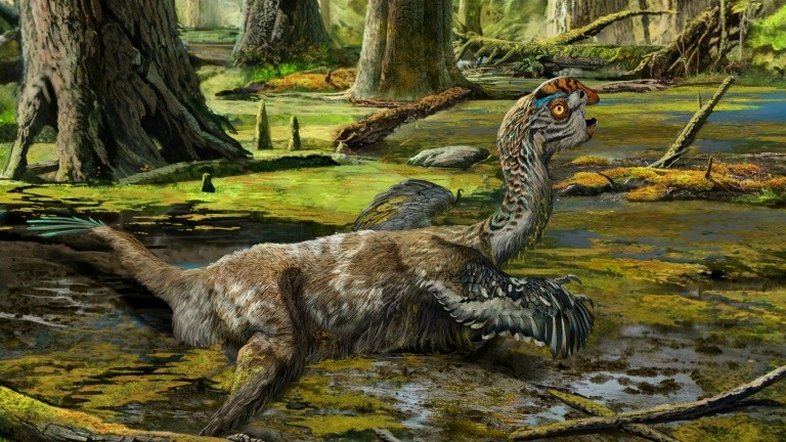 Nova espécie de dinossauro é descoberta na China