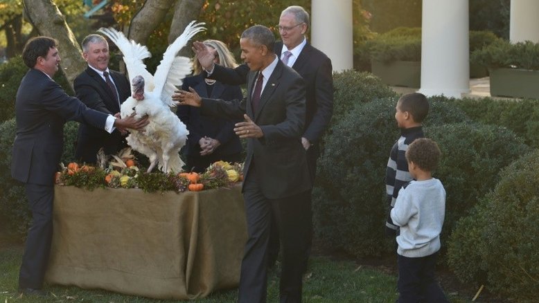 Obama perdoa seu último peru de Ação de Graças