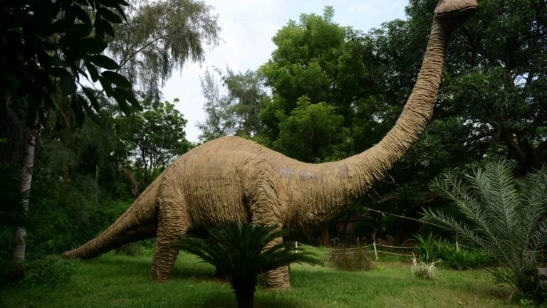 Cauda de dinossauro com penas é encontrada em pedaço de âmbar