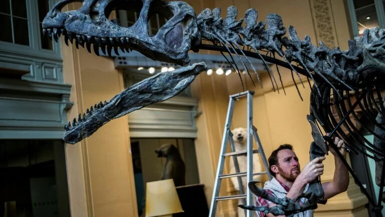 Descoberta de dinossauros pode explicar porque as aves têm bico